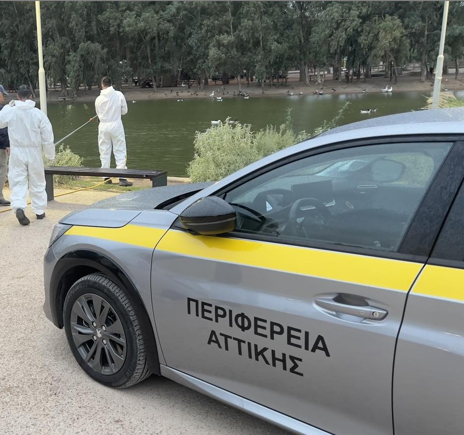 γεςγ