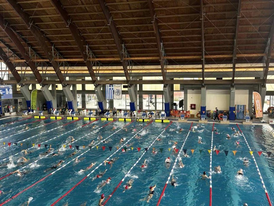 vdsV